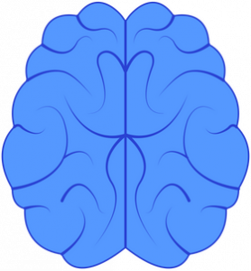 Brain icon